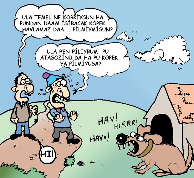 Resimli Temel Fıkraları