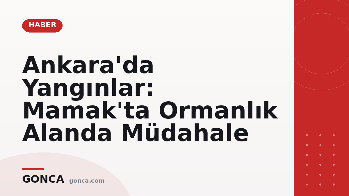 Ankara'da Yangınlar: Mamak'ta Ormanlık Alanda Müdahale
