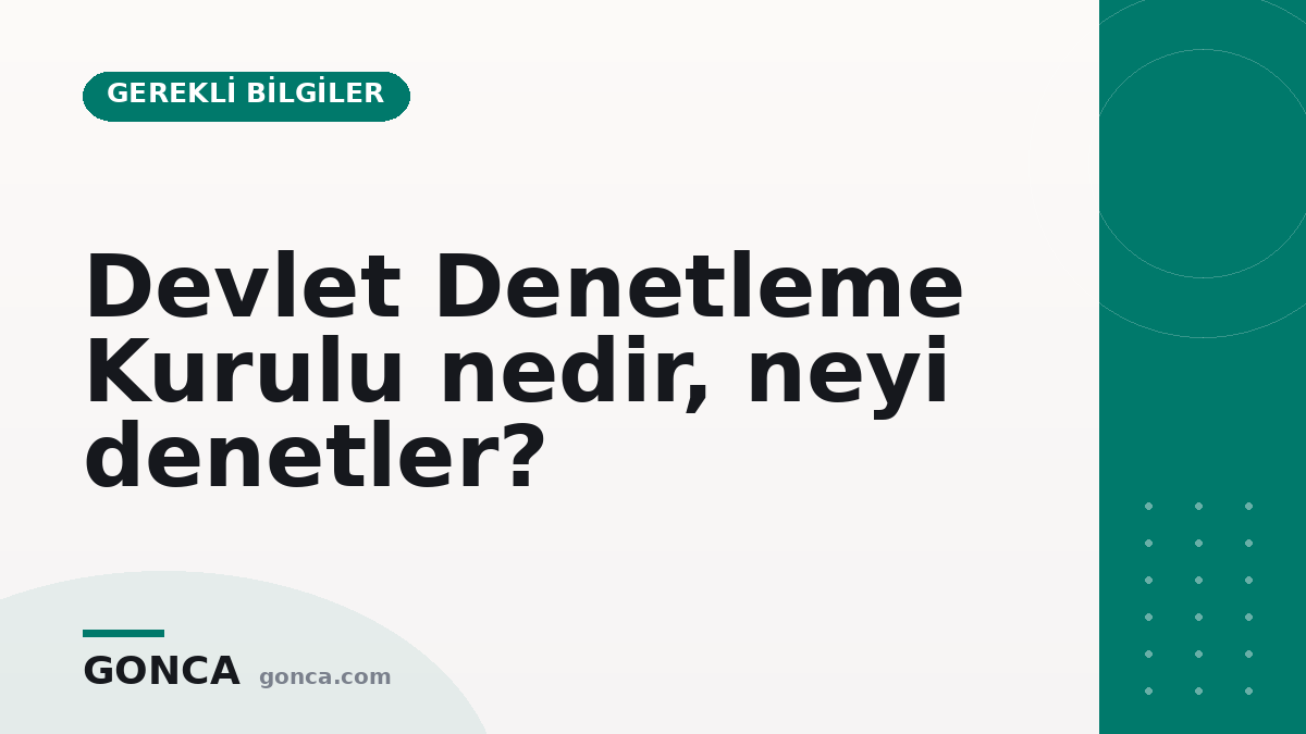 Devlet Denetleme Kurulu nedir, neyi denetler?