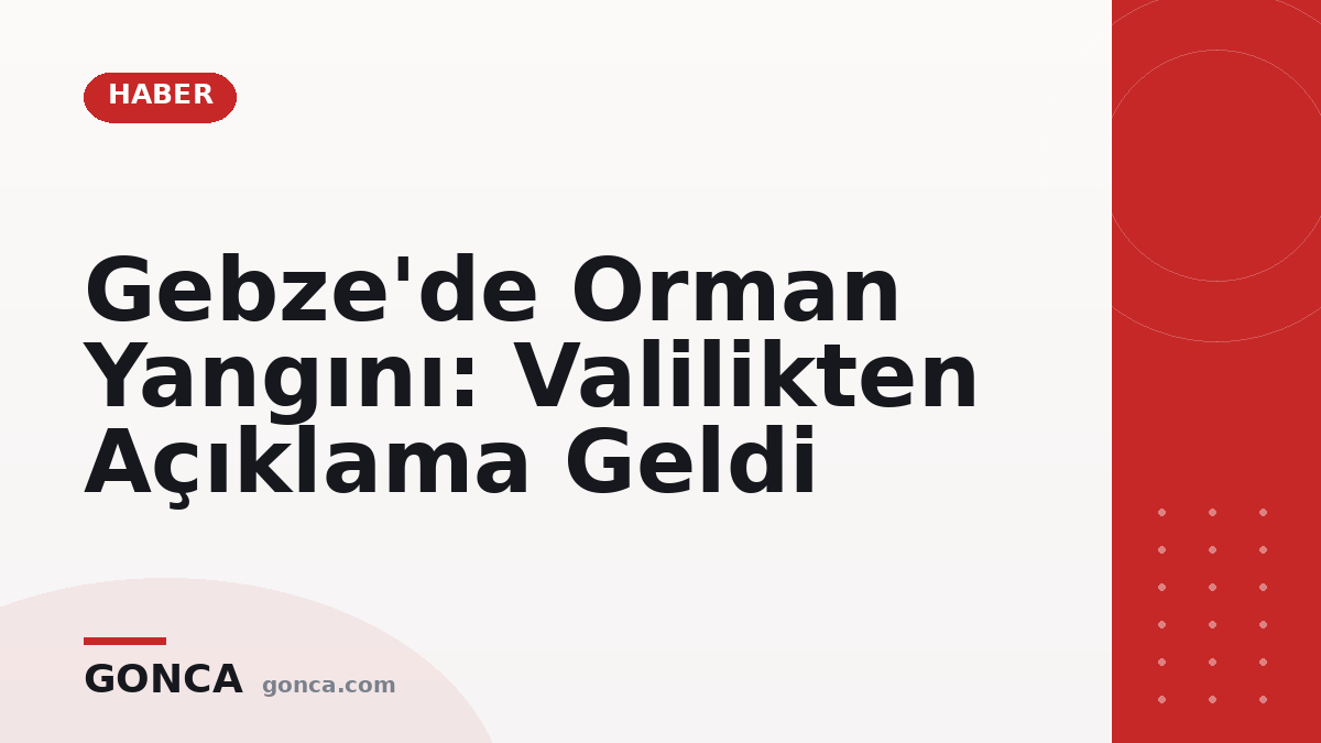 Gebze'de Orman Yangını: Valilikten Açıklama Geldi