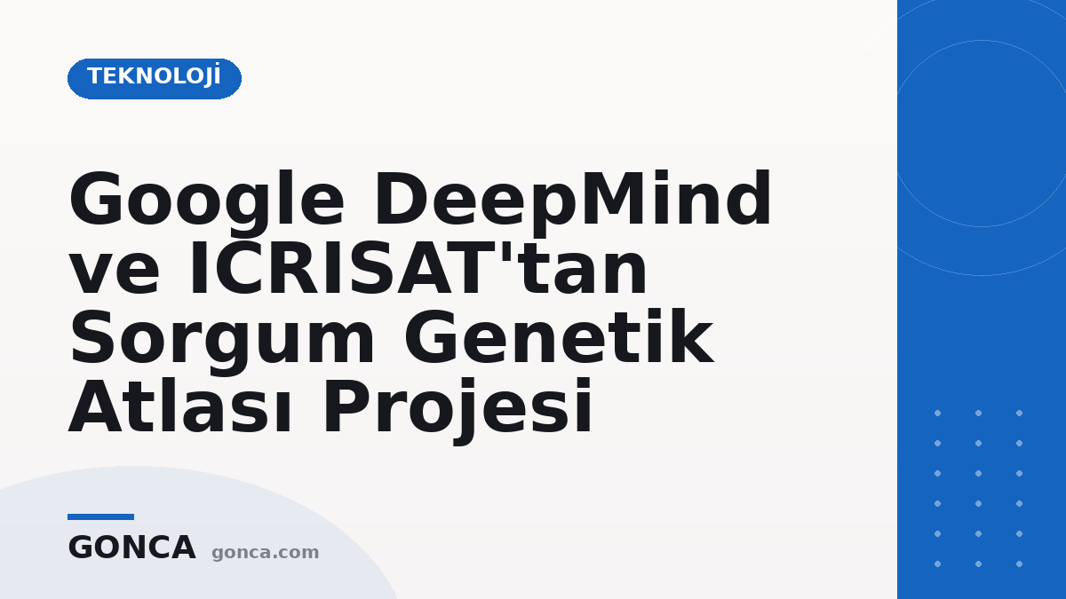 Google DeepMind ve ICRISAT'tan Sorgum Genetik Atlası Projesi