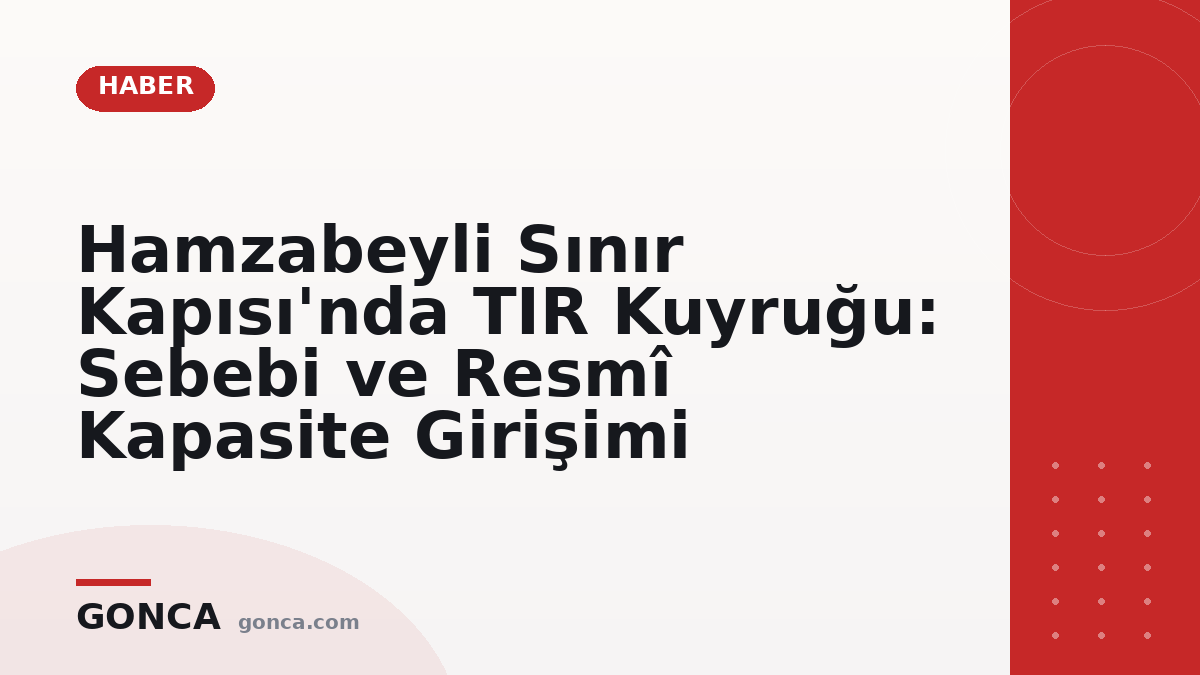 Hamzabeyli Sınır Kapısı'nda TIR Kuyruğu: Sebebi ve Resmî Kapasite Girişimi
