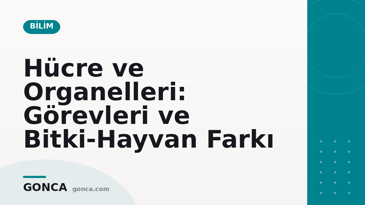 Hücre ve Organelleri: Görevleri ve Bitki-Hayvan Farkı