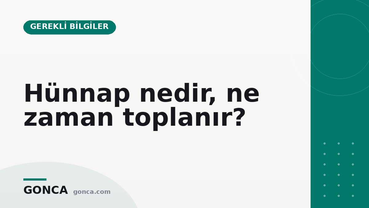 Hünnap nedir, ne zaman toplanır?