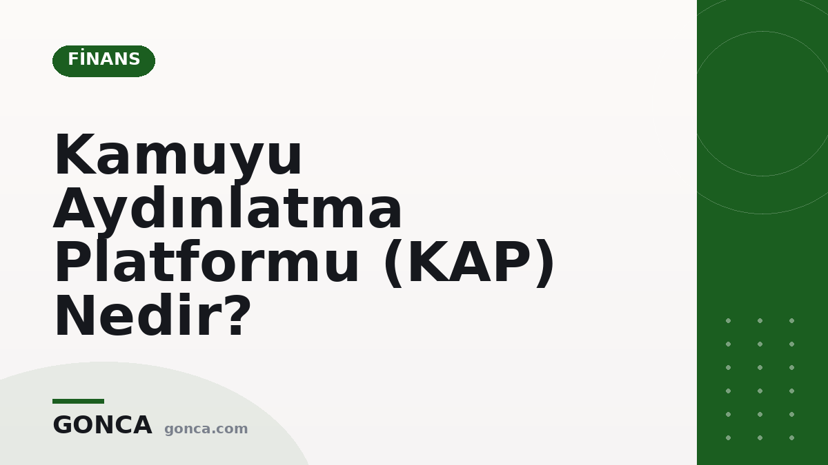 Kamuyu Aydınlatma Platformu (KAP) Nedir?