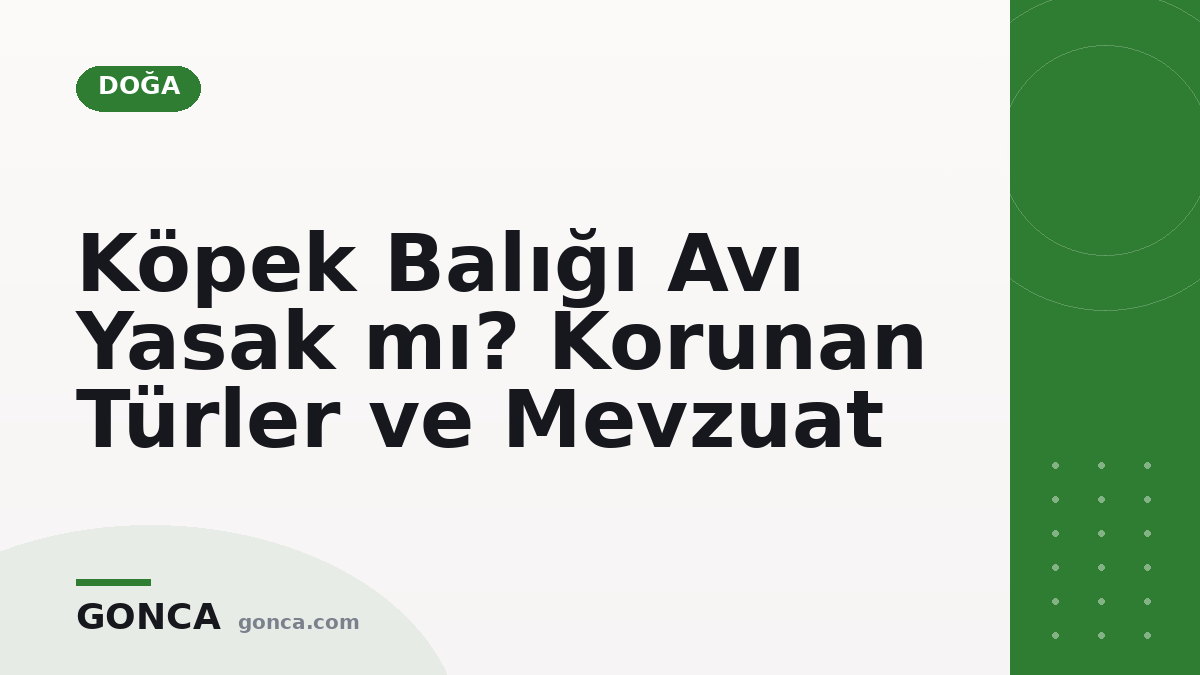 Köpek Balığı Avı Yasak mı? Korunan Türler ve Mevzuat