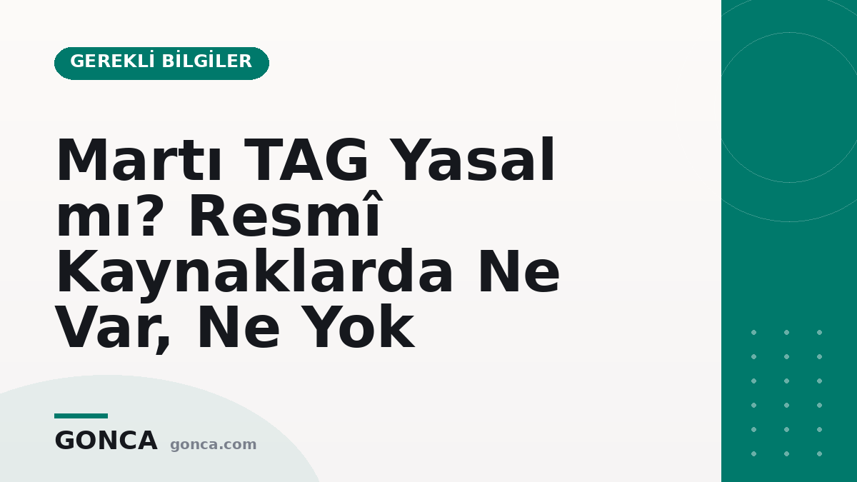 Martı TAG Yasal mı? Resmî Kaynaklarda Ne Var, Ne Yok