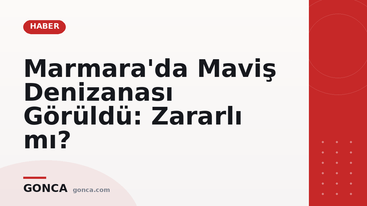 Marmara'da Maviş Denizanası Görüldü: Zararlı mı?