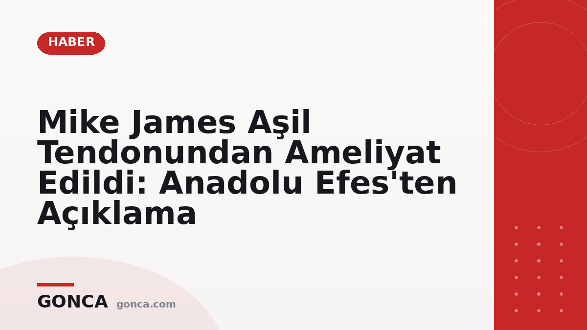 Mike James Aşil Tendonundan Ameliyat Edildi: Anadolu Efes'ten Açıklama