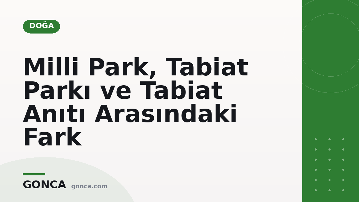 Milli Park, Tabiat Parkı ve Tabiat Anıtı Arasındaki Fark
