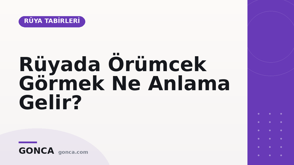 Rüyada Örümcek Görmek Ne Anlama Gelir?