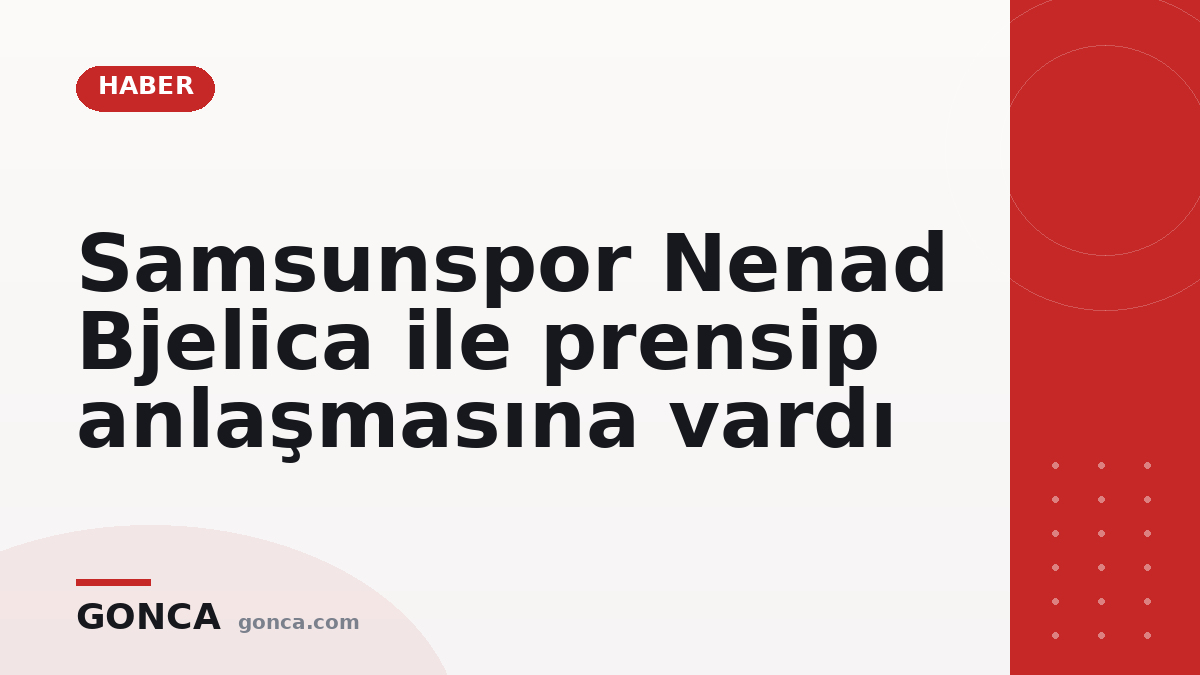 Samsunspor Nenad Bjelica ile prensip anlaşmasına vardı