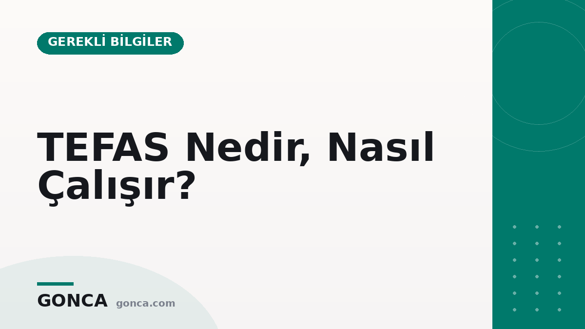 TEFAS Nedir, Nasıl Çalışır?