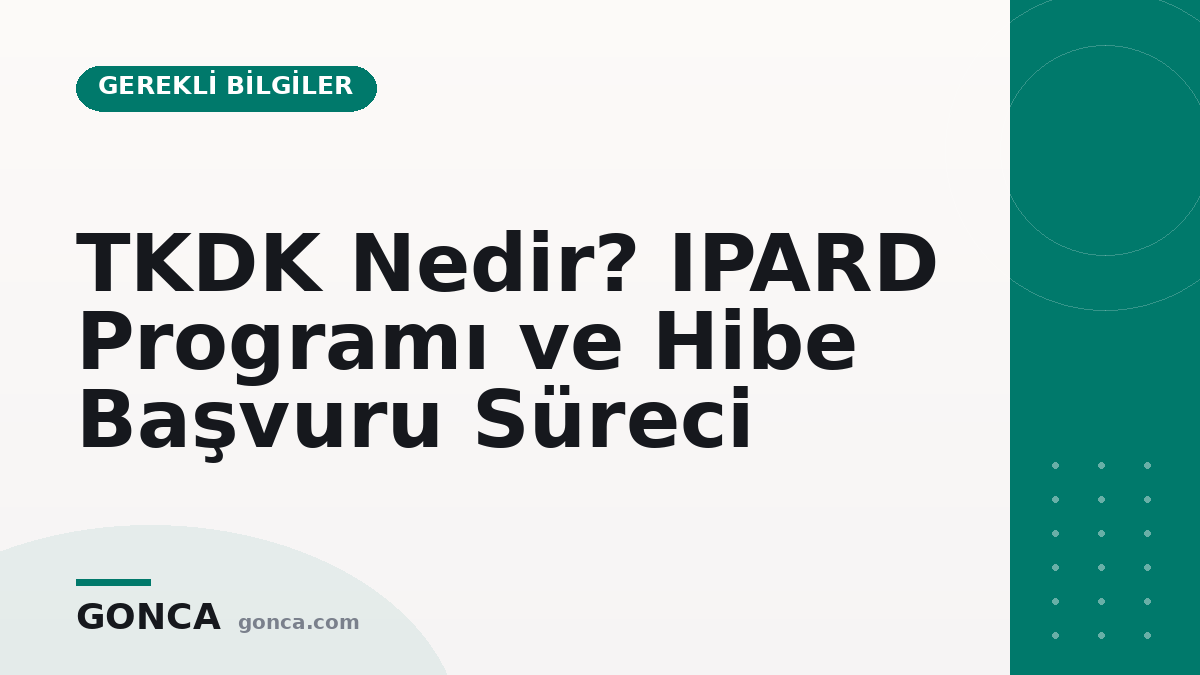 TKDK Nedir? IPARD Programı ve Hibe Başvuru Süreci