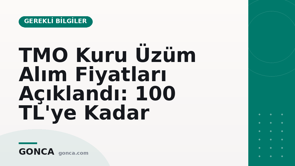 TMO Kuru Üzüm Alım Fiyatları Açıklandı: 100 TL'ye Kadar
