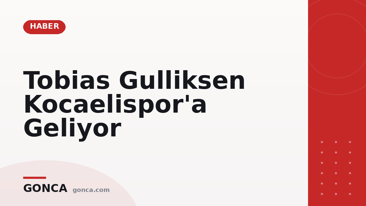 Tobias Gulliksen Kocaelispor'a Geliyor