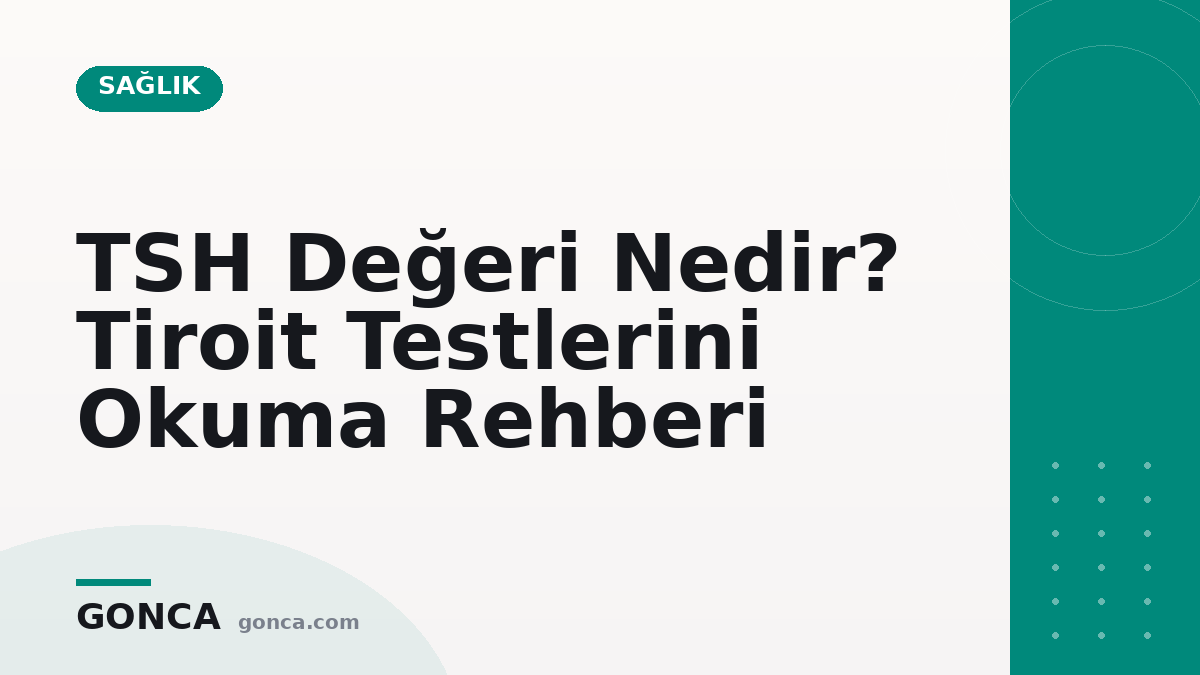 TSH Değeri Nedir? Tiroit Testlerini Okuma Rehberi