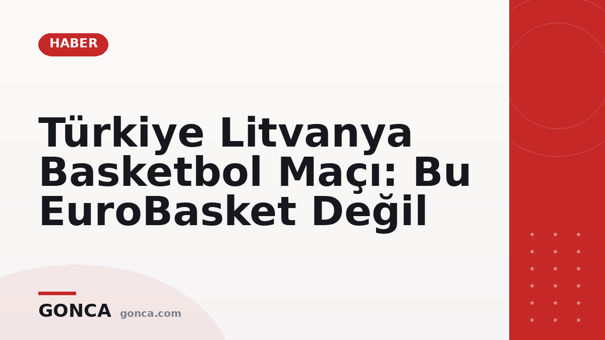 Türkiye Litvanya Basketbol Maçı: Bu EuroBasket Değil