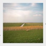 ilginç 35 ülke sınırı