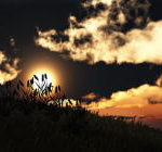 masaüstü resimler wallpaper