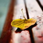 masaüstü resimler wallpaper